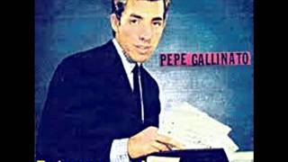 MUSICA LIBRE PEPE GALLINATO TU ERES ESA CHICA ENAMORADA 1974 [upl. by Adnuhser728]