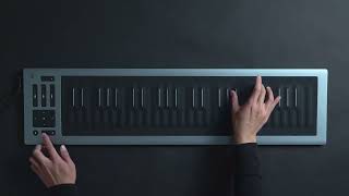 Seaboard RISE 2 and Equator2 A match made in musical heaven [upl. by Darce191]