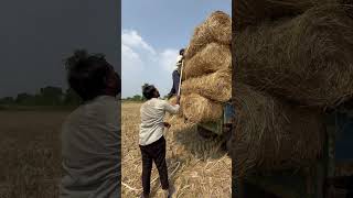 Gaddi thechinam vlog  village lifestylevlog villagelife villagevlog vlog [upl. by Trillbee]