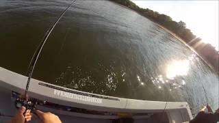 Lake Texoma Fishing Guides  SASSY SHAD [upl. by Sinylg]