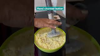 Traditional Hand churned butter amp ghee making malai butter buttermilk ghee gheemaking ytshorts [upl. by Marb]