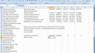 Ratio Analysis and Solvency Ratios [upl. by Ogren]