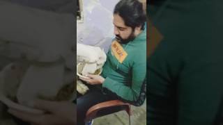 my family member rabbi new vlogindia comedy food forindia pakistani [upl. by Marcus]