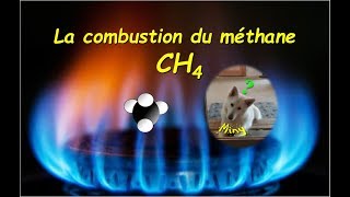 La combustion du méthane [upl. by Rochell559]