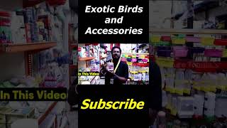 Explore the World of Exotic Birds with Sai Birds in Chennai Tamil  Accessories Included [upl. by Ineslta]