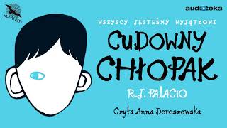 quotCudowny chłopakquot  audiobook [upl. by Anilegnave]