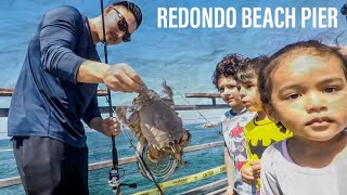 World Record Sand Crab Maybe and Redondo Beach Fish market [upl. by Nbi870]