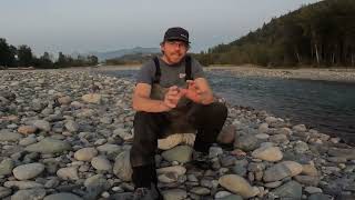 Vedder Coho Run Timing Explained [upl. by Barnard]