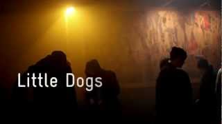 Little Dogs Trailer [upl. by Rumit]