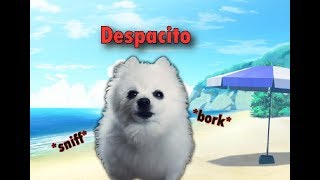 Despacito  gabe cover [upl. by Bohi]