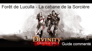 19  Divinity Original Sin  Guide commenté FR HD  Forêt de Luculla  La cabane de la Sorcière [upl. by Paulie]