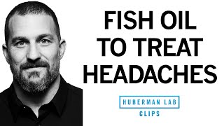 How Fish Oil amp Omega3s Can Help Reduce Headaches  Dr Andrew Huberman [upl. by Tompkins]