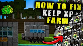 How To Fix Any Kelp XP Farm in Minecraft Bedrock Edition Solve All Problems [upl. by Leonardi]