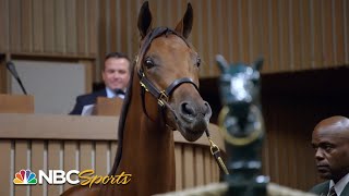 Champions born bred and bid on in Kentucky  All In Road to the Breeders Cup Classic  NBC Sports [upl. by Alleoj]