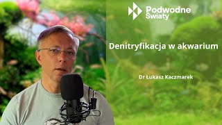 Dr Łukasz Kaczmarek Denitryfikacja w akwarium [upl. by Eveleen]