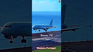 Live madeira airport liveplanespotting [upl. by Akemet]