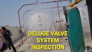 Deluge Valve System Inspection [upl. by Woodley183]