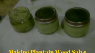 Making Plantain Weed Salve [upl. by Nort391]