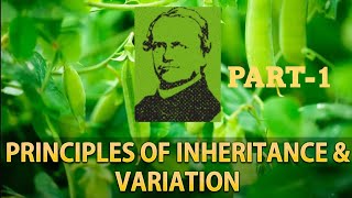 PYQs on Principleas of Inheritance and Variations Genetics [upl. by Qifar494]