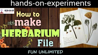 How to make herbarium file  Very interesting science experiments to do at home  fun unlimited [upl. by Waterman]