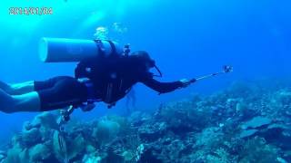 Diving in Belize 1 [upl. by Kealey]