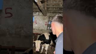 KURBAN BAYRAMI VLOG ŞU ANDA YAYINDA🐏❤️ keşfet shorts [upl. by Enelyar]