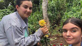 Jardín de Dalias🌷 [upl. by Norm]