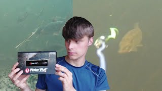 waterwolf camera 20 full review and fish [upl. by Rodolfo833]