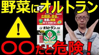 【有料級！】オルトランの正しい使い方を徹底解説！ [upl. by Amsirak]