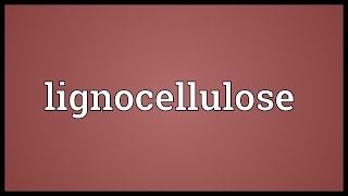 Lignocellulose Meaning [upl. by Currey]