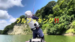 Bass fishing diary vol44 亀山ダム20230722 [upl. by Yslehc]