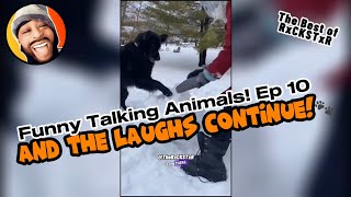 Best of RxCKSTxR Funny Talking Animal Voiceovers Compilation Ep 10 [upl. by Thornton465]