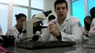 aula de hematologia clínica  Diferenciação de Leucemias Prof Matias Frizzo [upl. by Atekehs]