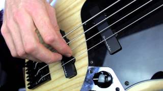 Right hand technique for Bass Raking amp Alternate plucking  L37 [upl. by Vadim902]