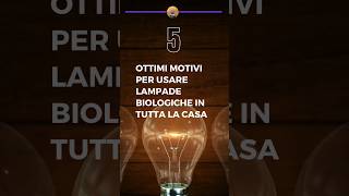 5 ottimi motivi per mettere lampade bio benessere interiordesign [upl. by Boniface]