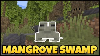 Where To Find MANGROVE SWAMP In MINECRAFT [upl. by Hurless]