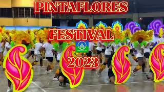 PINTAFLORES FESTIVAL 2023 SAN CARLOS CITY NEGROS OCCIDENTAL NOVEMBER 5 2023 [upl. by Euqinor809]