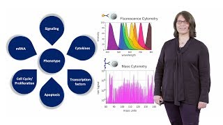 Mass Cytometry Introduction  Susanne Heck NIHR BRC [upl. by Eeniffar]