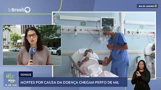 Mortes por causa da dengue chegam perto de mil [upl. by Irotal]