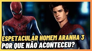 O ESPETACULAR HOMEM ARANHA 3 Por que foi cancelado [upl. by Anelhtac134]