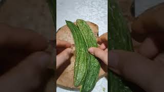 satisfayingsounds slicing bittergourd asmr ampalaya veggie satisfying viralvideo shorts [upl. by Bathsheba]