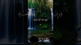 Quran tilawat Islamic video for you [upl. by Patience]