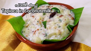 പാൽ കപ്പ  Paal Kappa Recipe in Malayalam [upl. by Fan470]