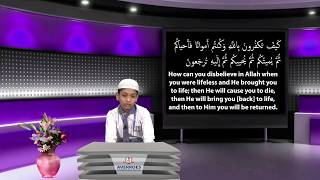 Voice of the Noble Quran Part  2 II Hafez KM Yousuf Noor II Surah Baqarah 28  69 [upl. by Letta]