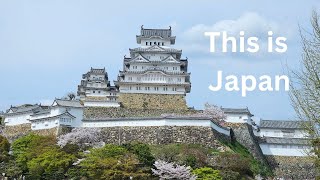 How to Spend 14 Days in Japan  on a Intrepid Guided Tour  Classic Japan [upl. by Nylg]