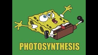 Photosynthesis Spongebob beat BIBBV2  TreyLouD [upl. by Eiliak]