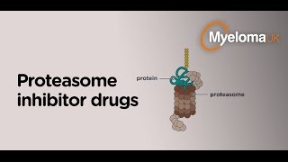 Proteasome inhibitor drugs [upl. by Lytsirhc501]