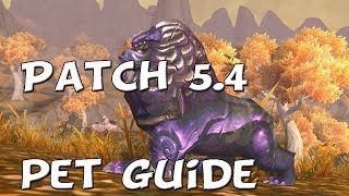 Wow Guide To Taming Portent Aka Armored Quilen Patch 54 [upl. by Joacima]