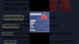 Stridor quotSerious Squeakquot Abnormal lung sounds [upl. by Liahus498]