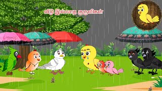 Homeless birds  Tamil stories  Tamil moral stories  Beauty Birds stories Tamil  birds stories [upl. by Aalst]